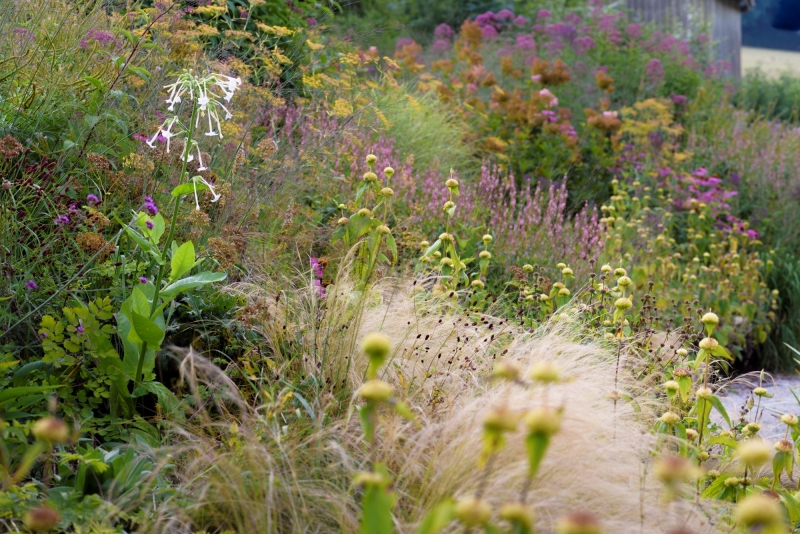 Am Brook Meadow